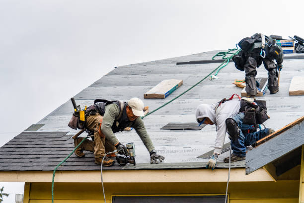 Professional Gutter Installation technician working in Anoka, MN